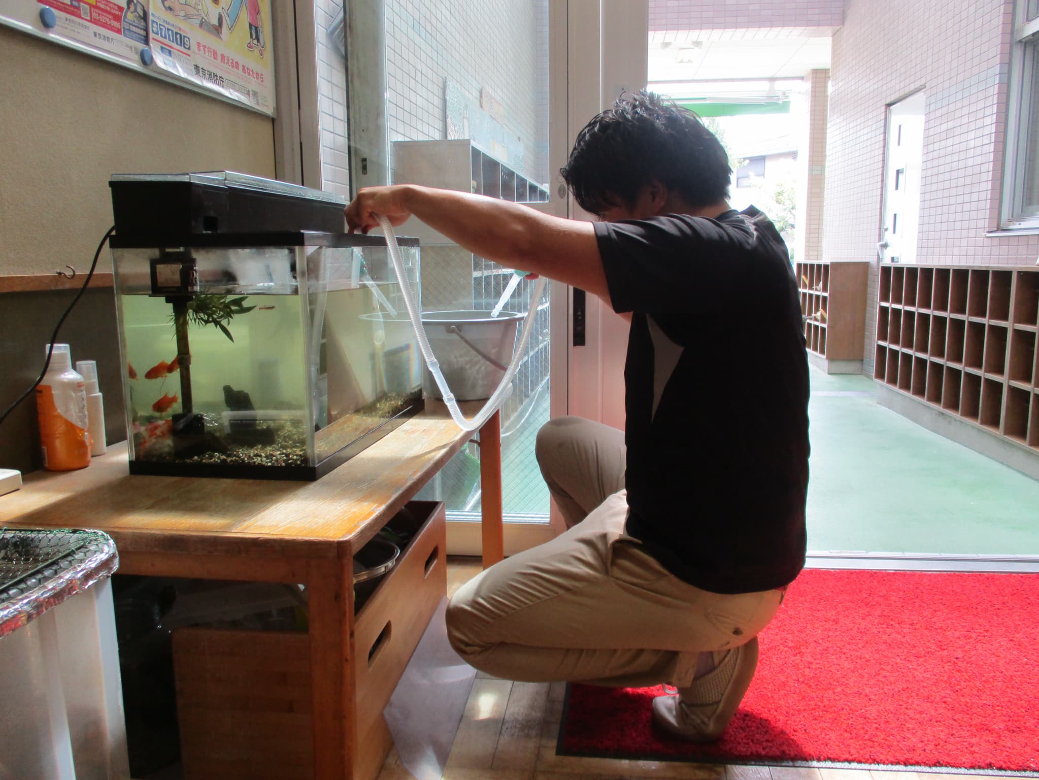 喜ぶ金魚さんたち♪