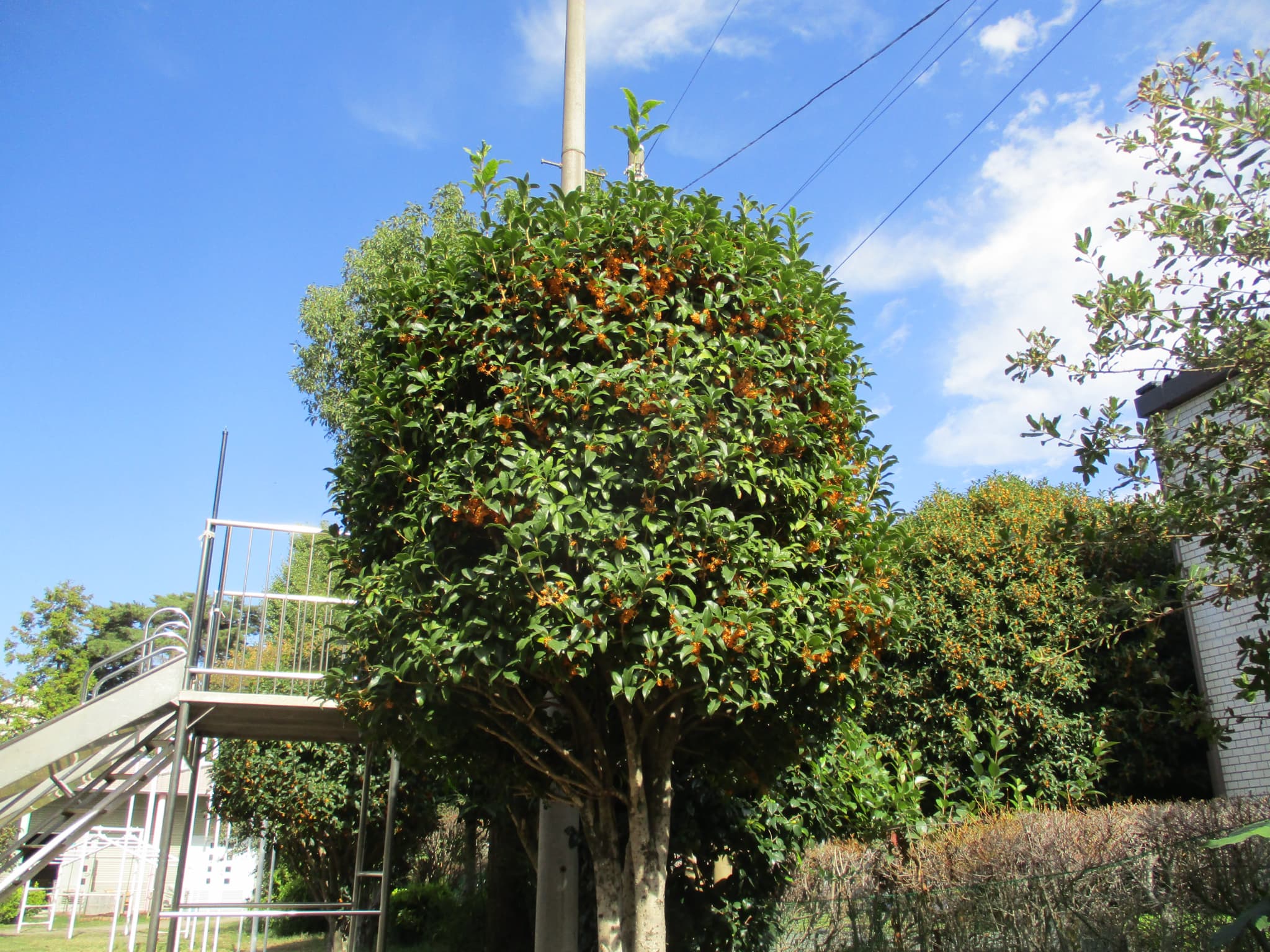 私事ですが、、、（笑）