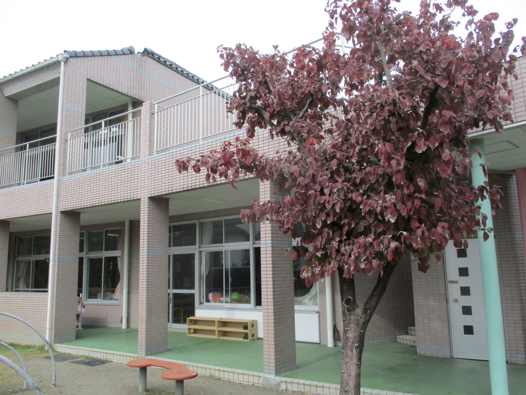 紅葉してます♪