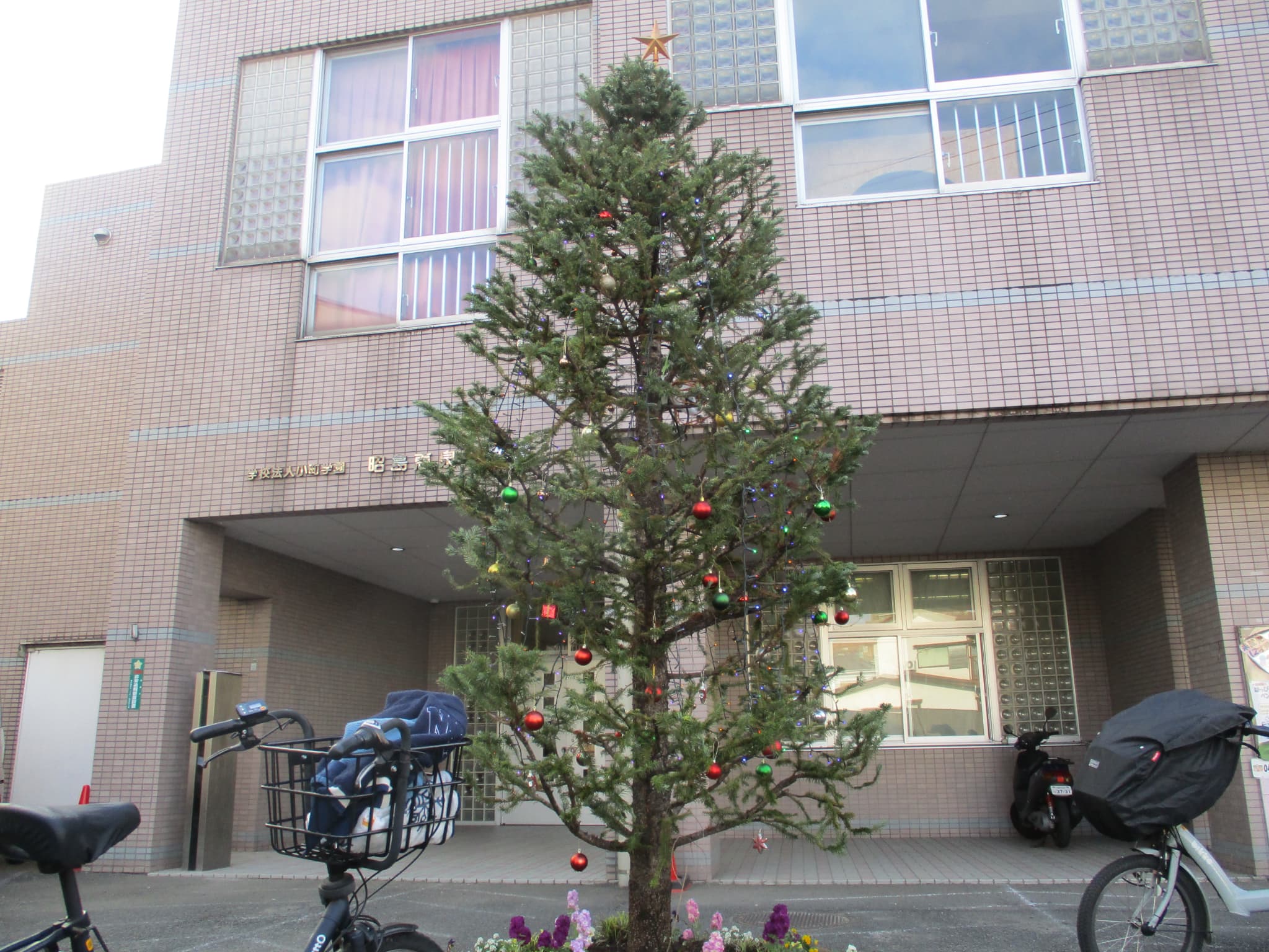 クリスマスツリー🎄