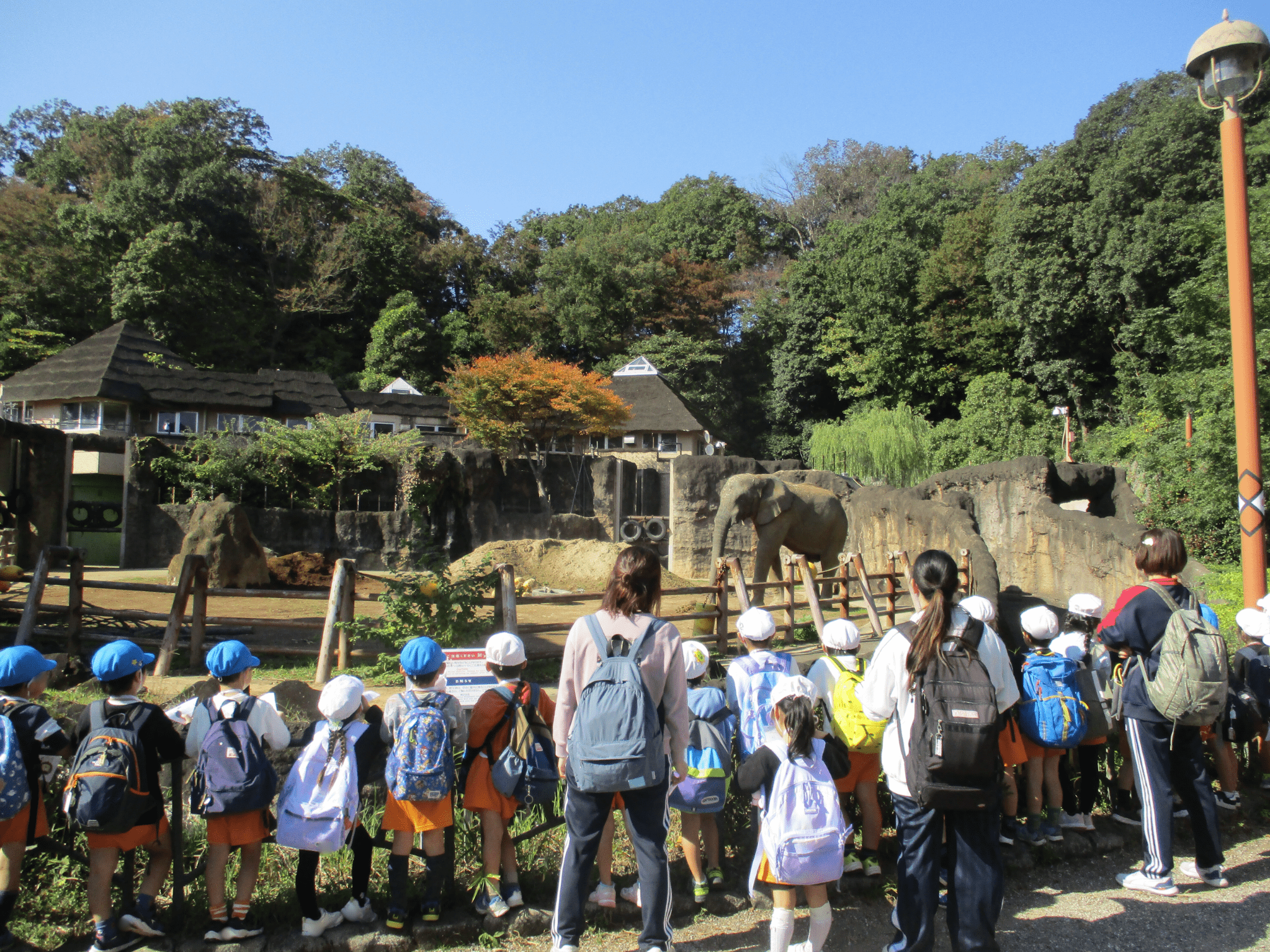 多摩動物公園！