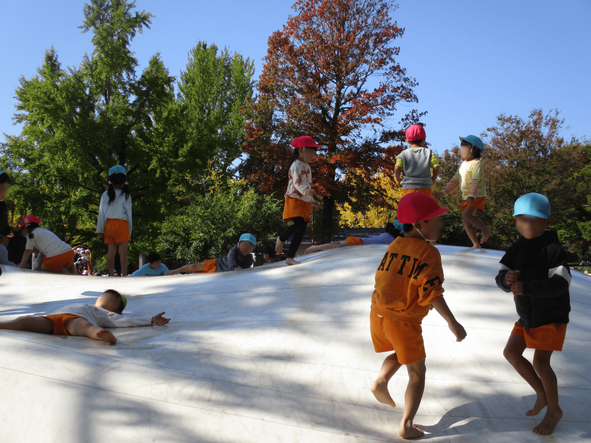 昭和記念公園！