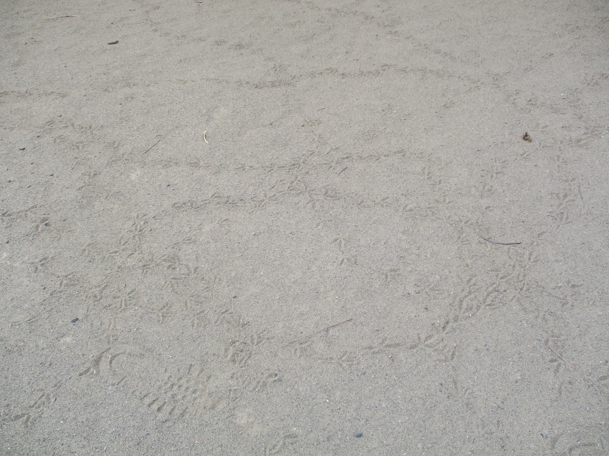 よ～く見てね♪♪