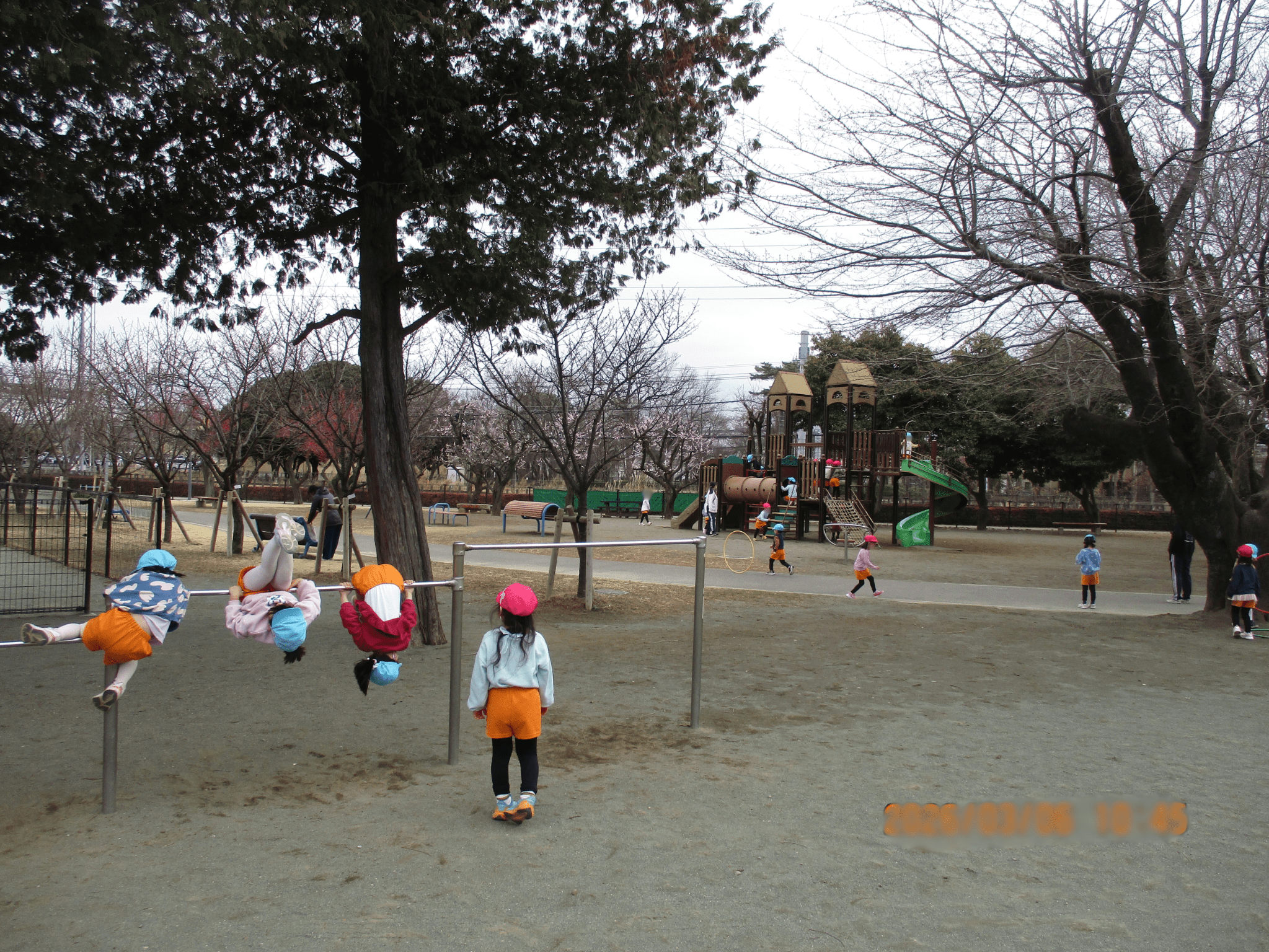 園外保育に行ったよ🚌