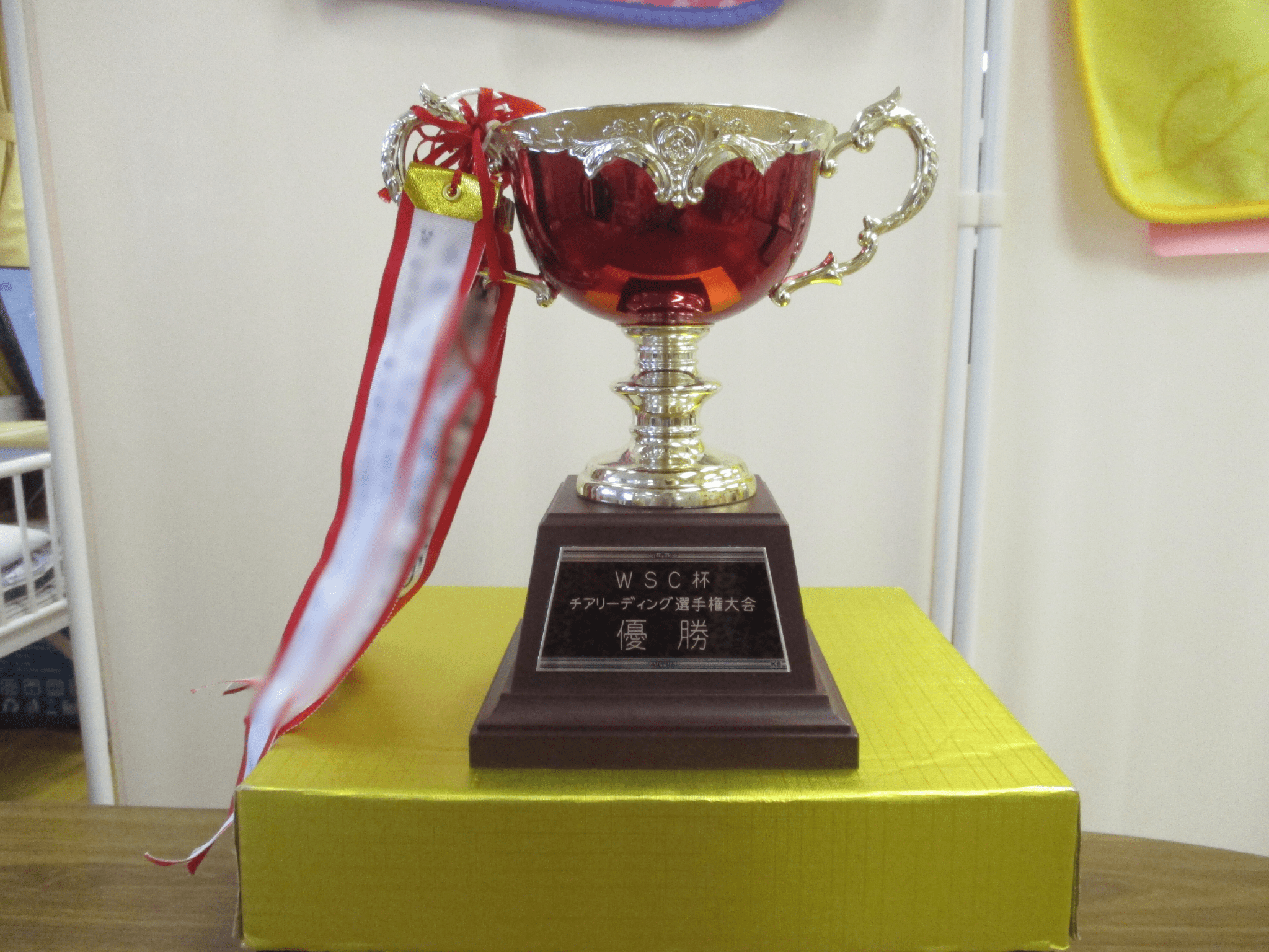 第１３回　チアリーディング発表会